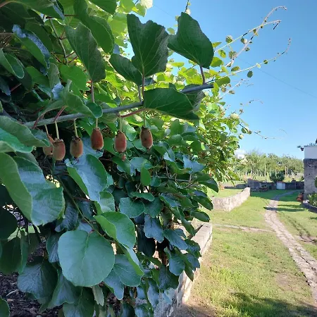 Quinta Da Ponte Maison d'hôtes Viana do Castelo