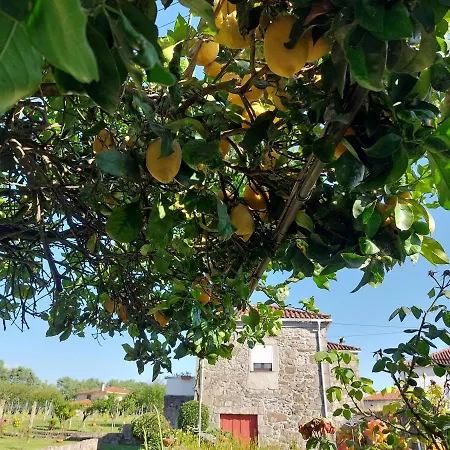 Maison d'hôtes Quinta Da Ponte 3*