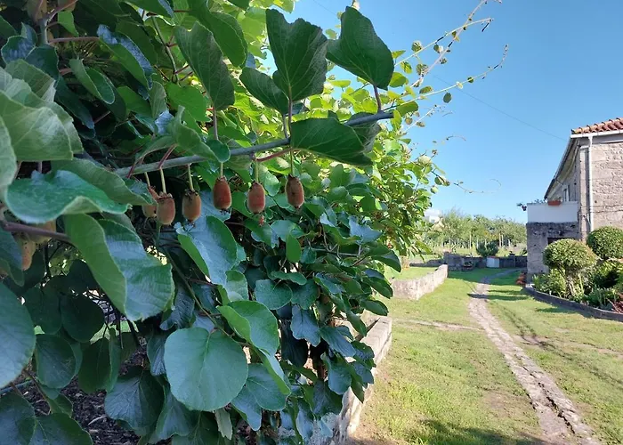 Quinta Da Ponte Pensión Viana do Castelo