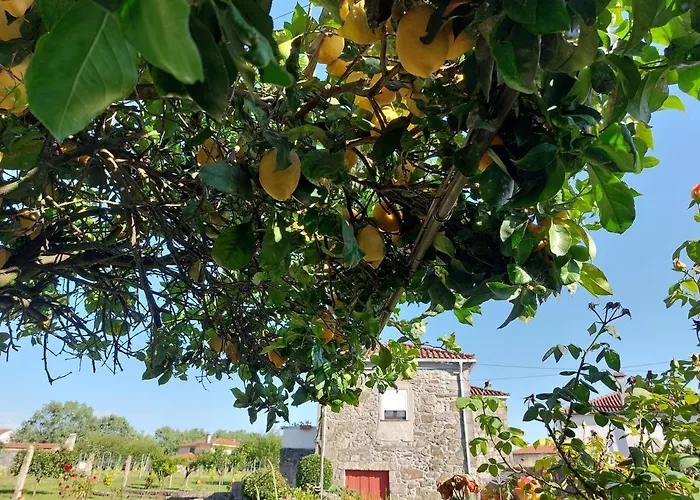 Pensión Quinta Da Ponte 3*